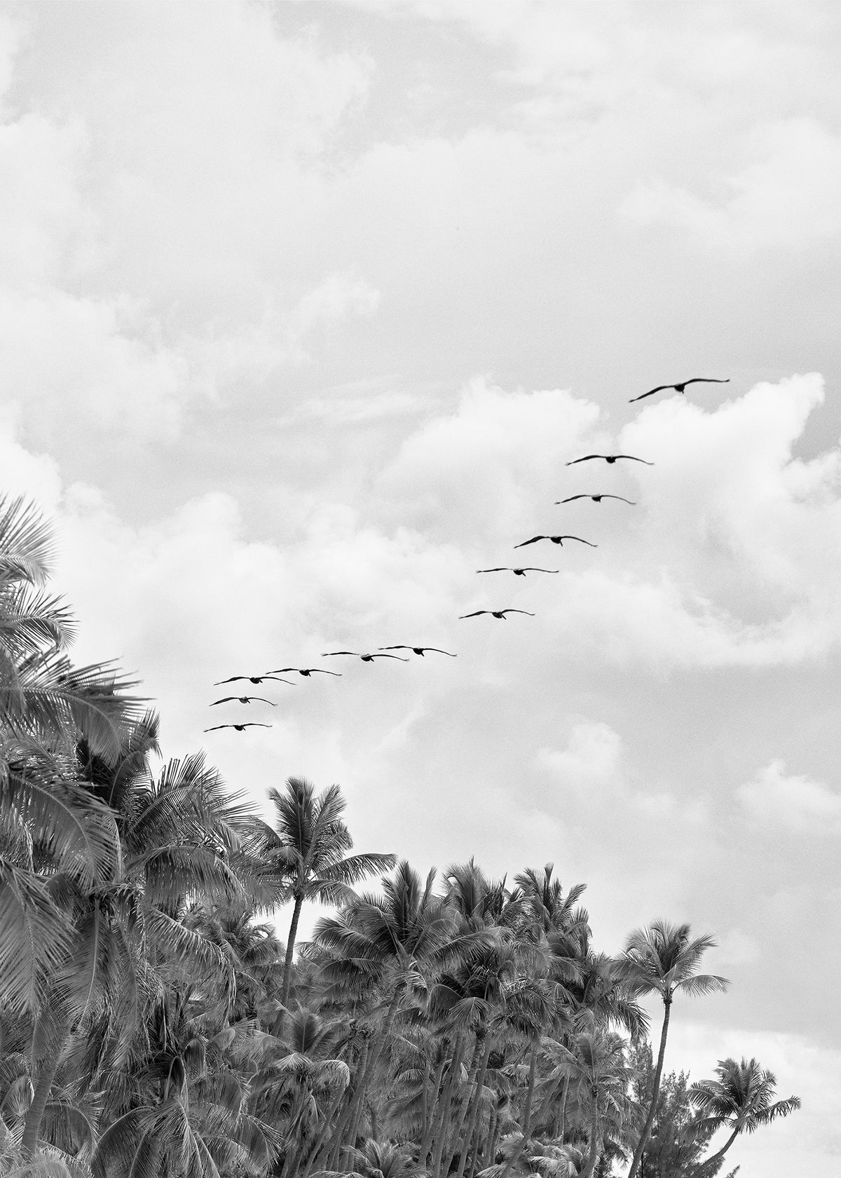 Passing Through fine art photography print