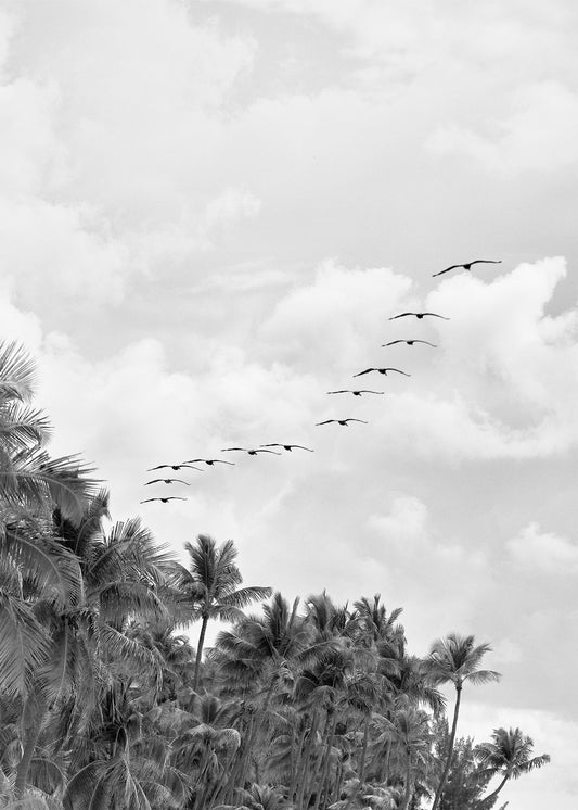 Passing Through fine art photography print