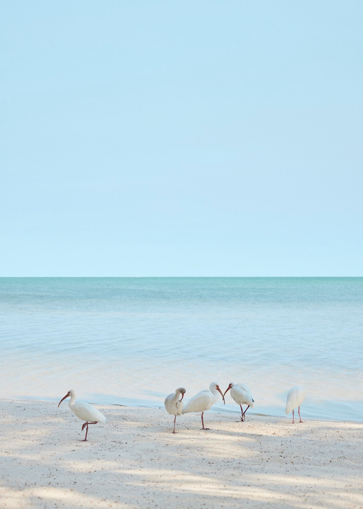 Regulars fine art photography print