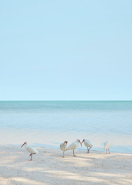 Regulars fine art photography print