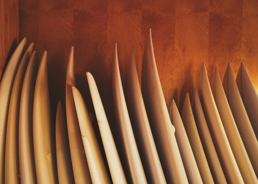 Shaped fine art photography print